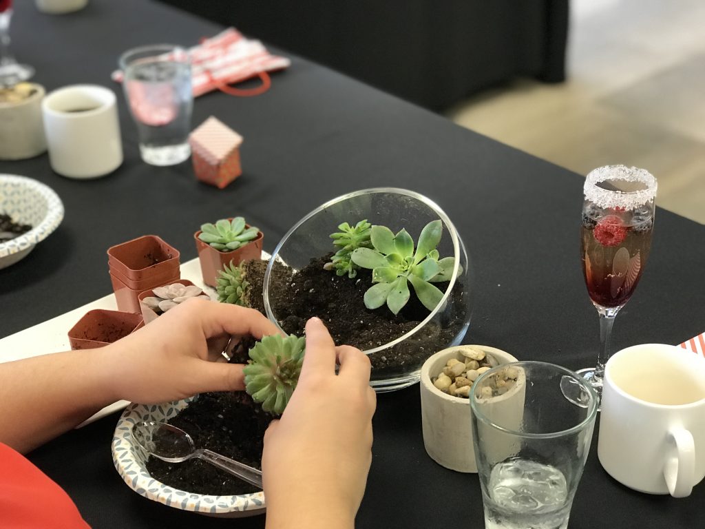 Terrarium Class & Holiday Brunch WE Plan It