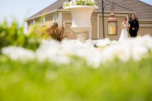 bride in field
